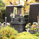 ■天照苑の風景